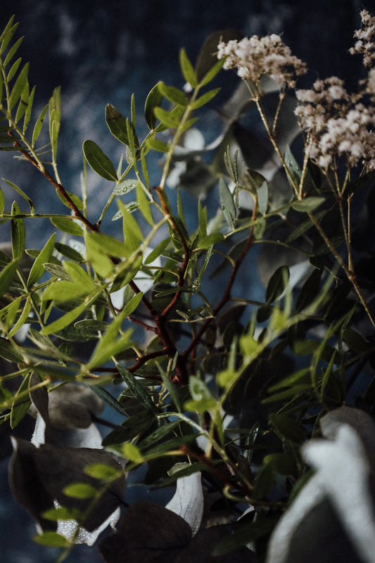 Foliage_arrangement